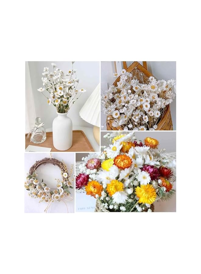The Bros Dried Daisy Flowers Bouquet, 150+ Dry White Flowers, Artificial Sunflowers, 17'' Natural Gerber Daisies Arrangements for Farmhouse Vase Decor, Wedding, DIY Home Office Party Decoration - Image 4