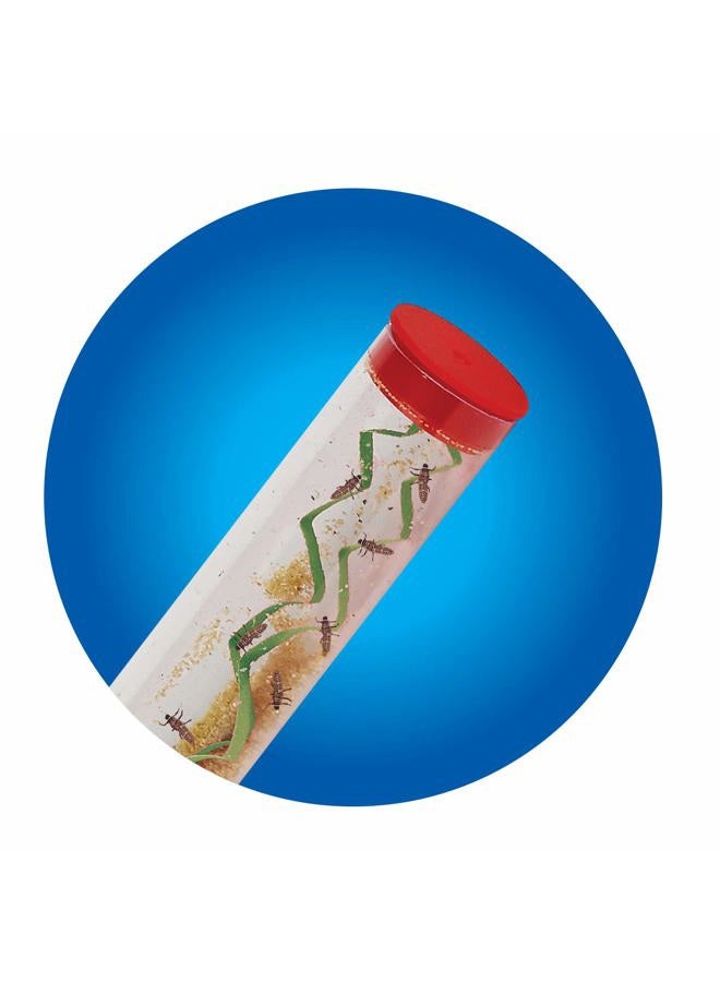 Insect Lore 10-15 Ladybug Larvae - Live Pink Spotted Ladybug Larvae - Grown in USA - Refill for Habitat - Observe, Raise & Release Ladybugs - Image 2