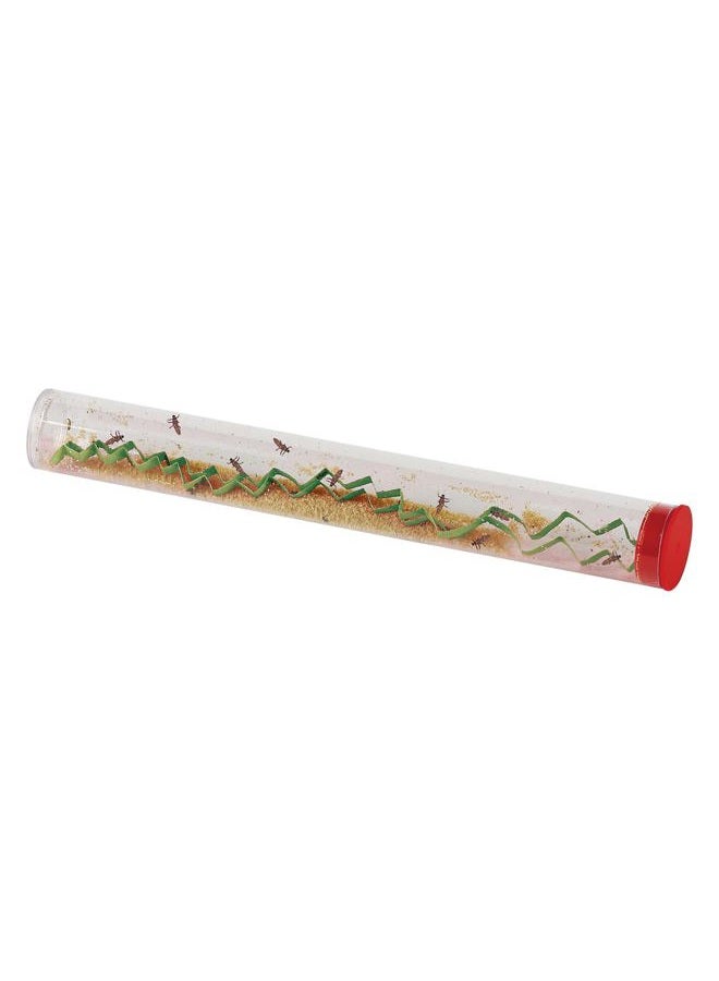 Insect Lore 10-15 Ladybug Larvae - Live Pink Spotted Ladybug Larvae - Grown in USA - Refill for Habitat - Observe, Raise & Release Ladybugs - Image 4