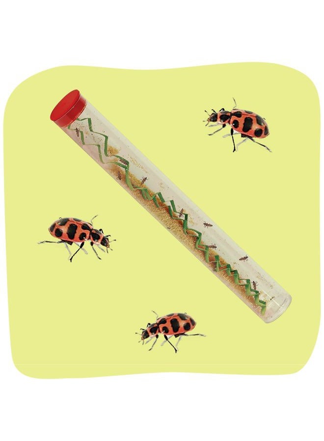 Insect Lore 10-15 Ladybug Larvae - Live Pink Spotted Ladybug Larvae - Grown in USA - Refill for Habitat - Observe, Raise & Release Ladybugs - Image 1