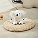 Glow Guards Musical Light up White Koala Stuffed Animal LED Singing Wildlife Soft Plush Toy with Night Lights Lullabies Birthday Idea Gift for Toddlers Kids 10 - Image 2