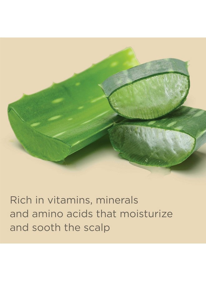 هيريتيج مجموعة شامبو وبلسم مرطب للشعر المصبوغ من هيريتاج كولور تشيك، حماية من الأشعة فوق البنفسجية، تمنع بهتان اللون، 13 أونصة لكل مجموعة (26 أونصة إجمالاً) - Image 5