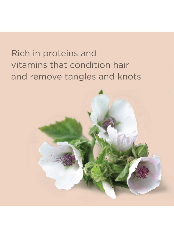 هيريتيج مجموعة شامبو وبلسم مرطب للشعر المصبوغ من هيريتاج كولور تشيك، حماية من الأشعة فوق البنفسجية، تمنع بهتان اللون، 13 أونصة لكل مجموعة (26 أونصة إجمالاً) - Image 4