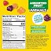 Mott's Motts Fruit Flavored Snacks Animals Assorted Fruit Gluten Free Snack Family Pack 40 Ct 32 oz - Image 4