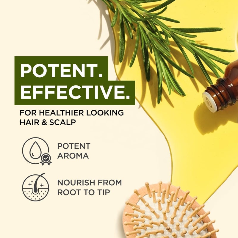 Gya Labs Rosemary Essential Oil - 0.34 Fl Oz - 100% Pure Rosemary Oil for Hair, Skin, Teeth and Gums, Diffuser, Aromatherapy & DIY Candle Making Scent - Image 3