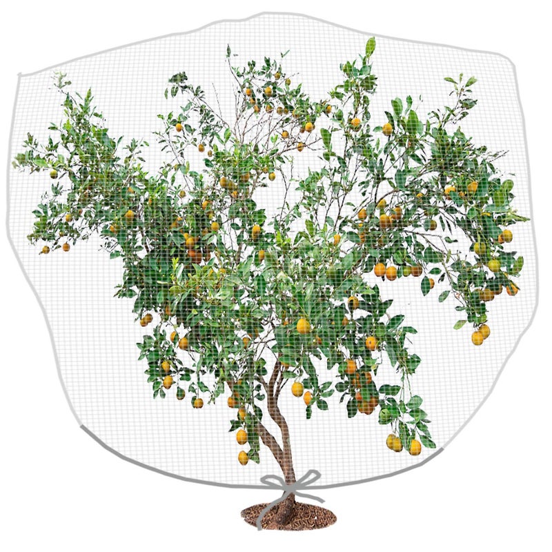 PURPLE STAR 1N PURPLE STAR 1N 82 x 65 Feet Large Fruit Tree Netting Insect Bird Barrier Tree Net with Drawstring Garden Bird Netting Plant Cover for Protect Plant Fruit Flower from Insect Bird 
