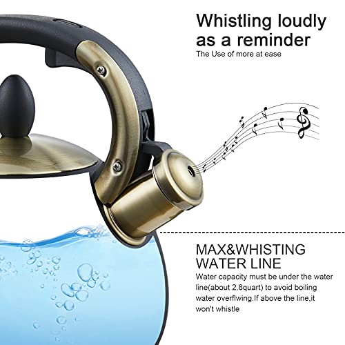 LUXGRACE Stove Top Whistling Tea Kettle- Stainless Steel Teakettle Teapot with Ergonomic Handle 2.6 Quart(Black) - Image 4