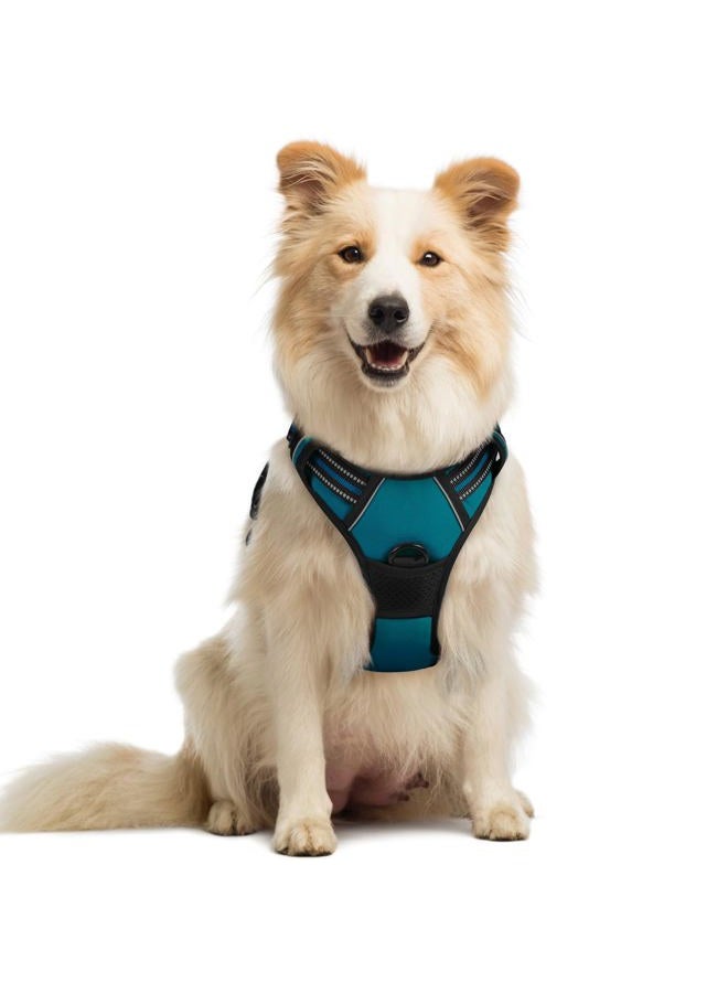 Rabbitgoo Dog Harness No Pull with 2 Leash Clips, Adjustable Soft Padded, Reflective Oxford No Choke Pet Vest with Easy Control Handle for Medium Sized Dogs, Blue Coral, M - Image 1