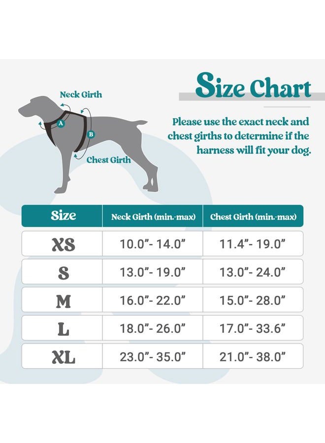 Rabbitgoo Dog Harness No Pull with 2 Leash Clips, Adjustable Soft Padded, Reflective Oxford No Choke Pet Vest with Easy Control Handle for Medium Sized Dogs, Blue Coral, M - Image 2