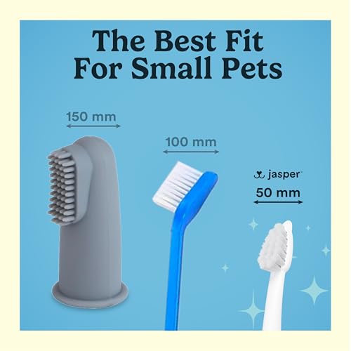 Jasper Microbrush Vet Approved Cat Toothbrush, Soft-Bristled Toothbrush Kit for Felines & Small Dogs, Non-Slip Handle with 2 Replaceable Tooth Brush Heads, Use with Cat Toothpaste - Image 2