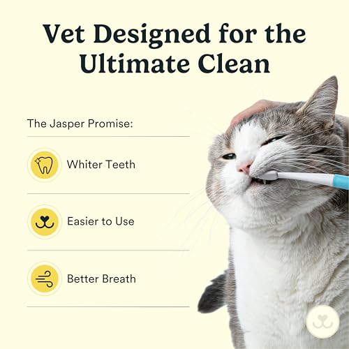Jasper Microbrush Vet Approved Cat Toothbrush, Soft-Bristled Toothbrush Kit for Felines & Small Dogs, Non-Slip Handle with 2 Replaceable Tooth Brush Heads, Use with Cat Toothpaste - Image 4
