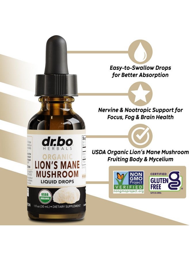 dr.bo Lions Mane Mushroom Supplement Drops - Organic Lion's Mane Mushroom Liquid Tincture for Focus, Fog Brain Health Supplements - Vegan Herbal Nervine Nootropic Organic Lions Liquid Supplement Extract 1oz - Image 2