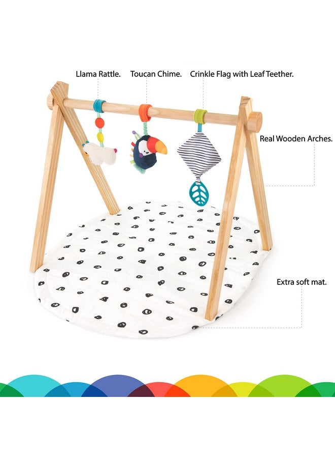 Sassy Eco Sproutin’ Safari Gym | Made Green | 0+ Months - Image 3