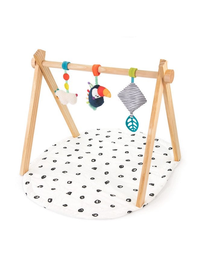 Sassy Eco Sproutin’ Safari Gym | Made Green | 0+ Months - Image 1