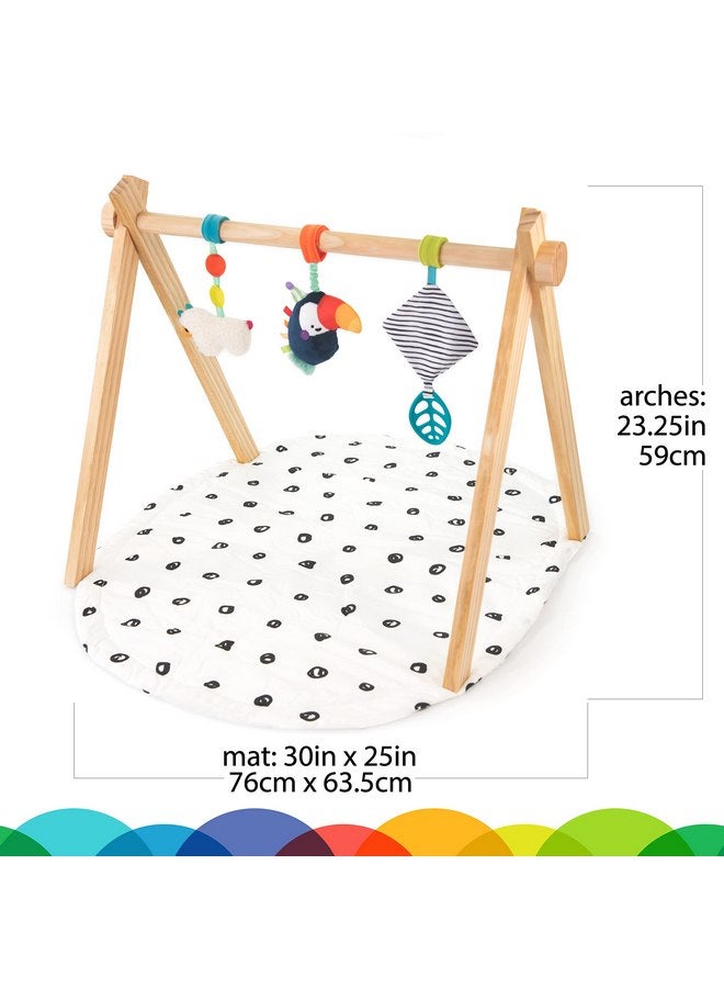 Sassy Eco Sproutin’ Safari Gym | Made Green | 0+ Months - Image 2