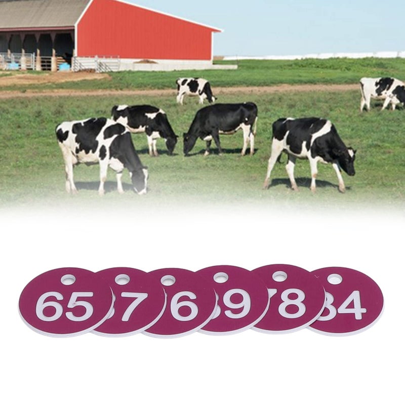 Purple Beehive Tag Numbered Labels 51-100 50pcs Simple Round for Beekeeping - Image 3