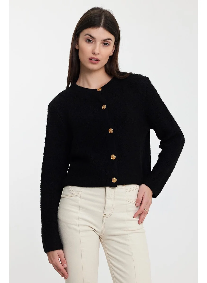 Alexander Gardi Buttoned Knitted Cardigan(A92301-S)