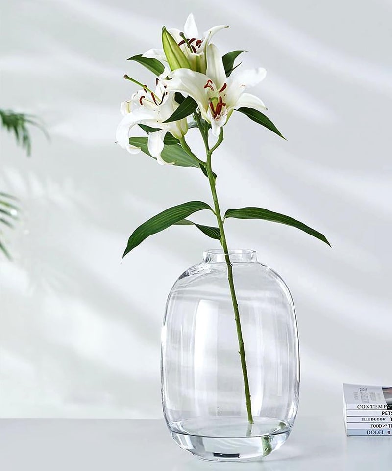 GeLive Low wear optimized design Modern Large Glass Vase, Tall Floor Vase, Clear Flower Vase, Flower Arrangement for Long Stem Branch Artificial Plant Tabletop Centerpiece Home Indoor Decoration (Transparent) Long term use design - Image 4