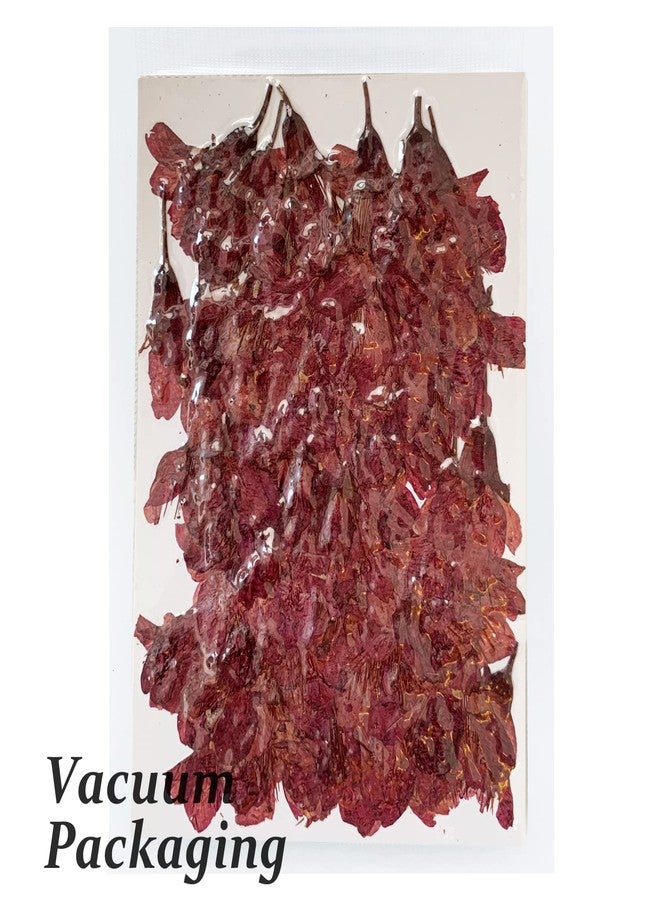 GSZN أزهار الكرز المجففة المضغوطة، 60 قطعة من أزهار الكرز الطبيعية المجففة والمضغوطة باللونين الأرجواني والأحمر، أزهار مجففة لصنع الزينة والحرف اليدوية من الراتنج والشموع - Image 3