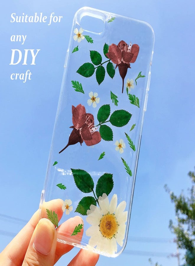 GSZN أزهار الكرز المجففة المضغوطة، 60 قطعة من أزهار الكرز الطبيعية المجففة والمضغوطة باللونين الأرجواني والأحمر، أزهار مجففة لصنع الزينة والحرف اليدوية من الراتنج والشموع - Image 5