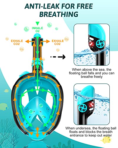 Viginsul Snorkeling Gear for Kids Full Face Snorkel Mask Adjustable Swim Fins Snorkel Set Panoramic View Snorkel Mask with Dry Top System Gear Bag AntiFog AntiLeak Green - Image 3