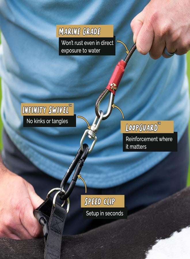ROYAL PAW Dog Tie Out Cable and Stake 30ft - for Large Dogs up to 300 lbs - Heavy Duty Tether and Dog Stake for Yard, Beach & Camping Outside (Black, L/XL - 30ft) - Image 3