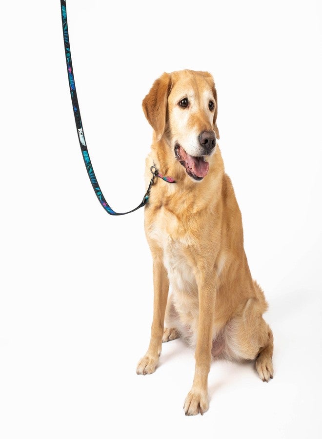 Lug Fetch Pet Collar and Leash Set, Nautical Navy - Image 4