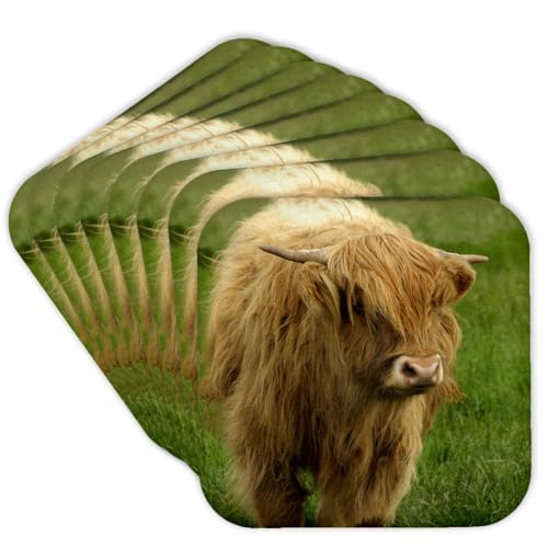 3dRose Scotland Highland Cow Farm Animal Eu36 Cmi0128 Cindy Miller Hopkins Soft Coasters Set of 8 CST_82799_2 - Image 1
