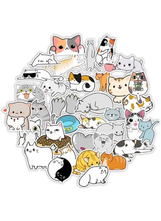 cute cat