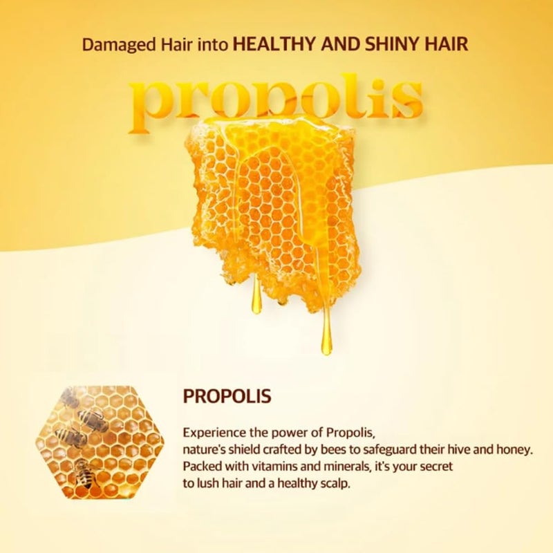Kerasys Royal Propolis Original Repair 33.8 fl oz / 1L (Shampoo & Treatment Set) - Image 5