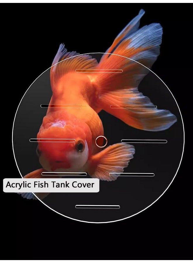 Primst Acrylic Aquarium Anti-Jumping Lid Cover with Hole, Round Acrylic Plate Fish Tank Cover to Profect Fish, Reptiles, Turtles from Jumping Out Protect Cat, Thick 3mm (A,Diameter 7.8inch) - Image 4