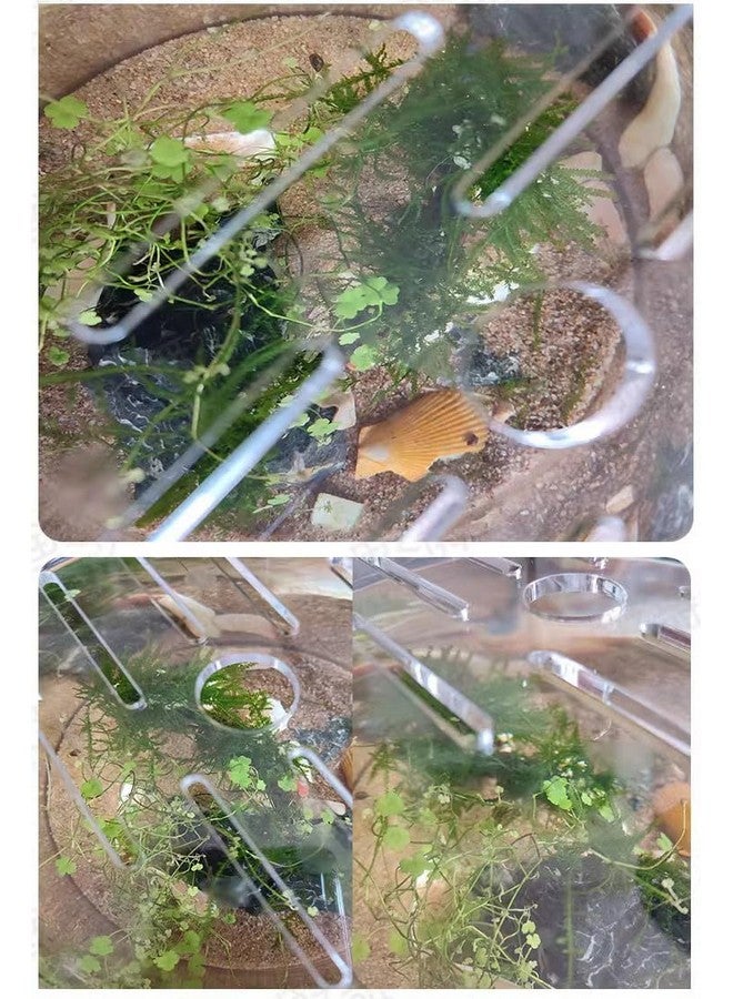 Primst Acrylic Aquarium Anti-Jumping Lid Cover with Hole, Round Acrylic Plate Fish Tank Cover to Profect Fish, Reptiles, Turtles from Jumping Out Protect Cat, Thick 3mm (A,Diameter 7.8inch) - Image 5