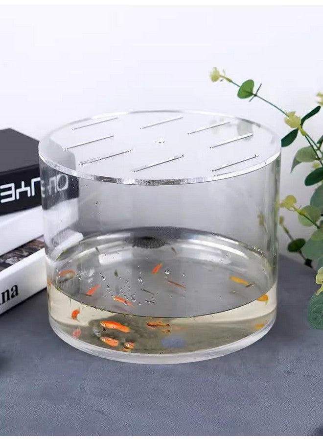 Primst Acrylic Aquarium Anti-Jumping Lid Cover with Hole, Round Acrylic Plate Fish Tank Cover to Profect Fish, Reptiles, Turtles from Jumping Out Protect Cat, Thick 3mm (A,Diameter 7.8inch) - Image 2