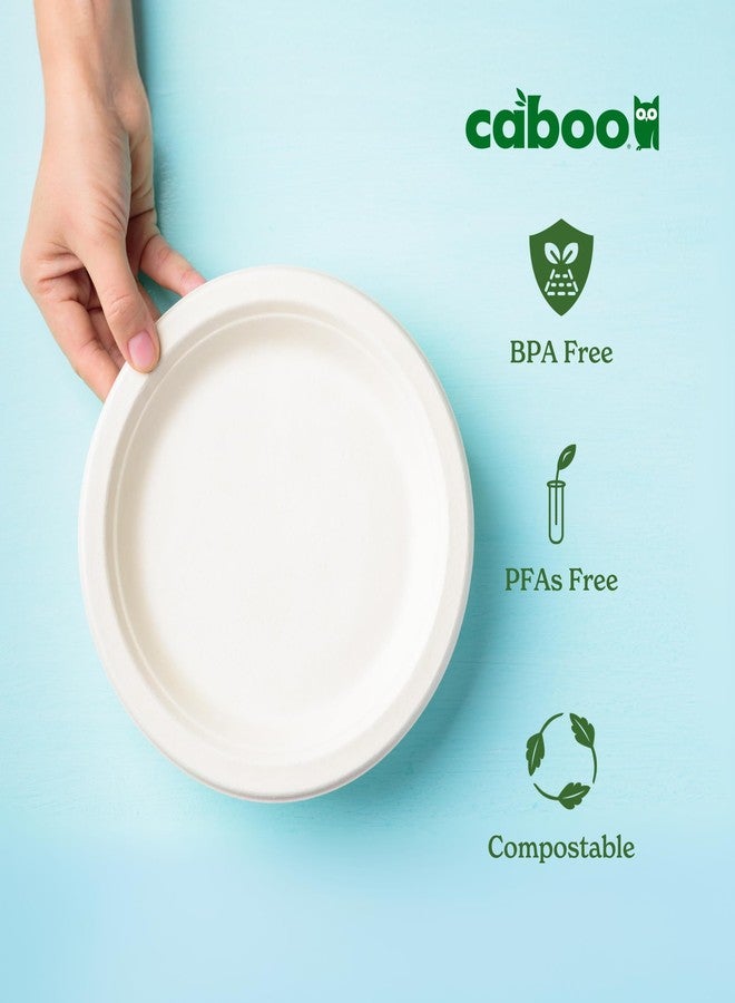 Caboo Disposable Bamboo Paper Plates, 125 Pack of 10 Inch Sturdy Biodegradable Plates, Compostable Plate, Microwave Safe Party Plate, Eco Friendly Alternative to Plastic - Image 3