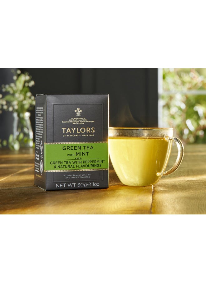 Taylors Of Harrogate Taylors of Harrogate Green Tea with Mint, 20 Teabags (Pack of 6)  - Image 3