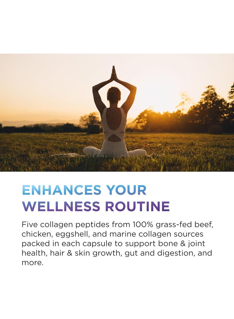 DR EMIL NUTRITION DR. EMIL NUTRITION Multi Collagen Pills - Collagen Supplements to Support Hair, Skin, Nails, & Joints - Hydrolyzed Collagen Supplements for Women with Types I, II, III, V & X - 90 Capsules - Image 5