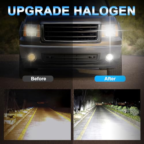 XRDHJI Fit for Elantra 2011-2013 High Performance Halogen Headlight Bulbs,H1 High Beam + H11 Low Beam Headlamp Replacement Bulbs Kit, Plug and Play,Pack of 4 - Image 3
