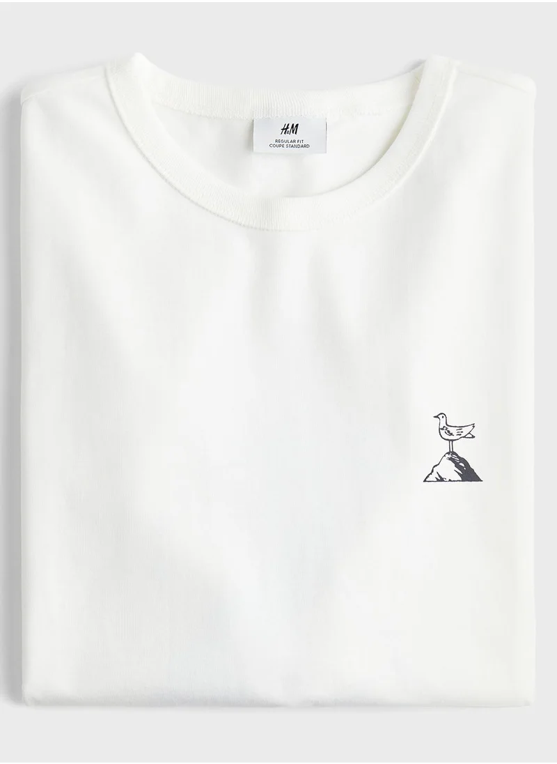 اتش اند ام Regular Fit T-Shirt
