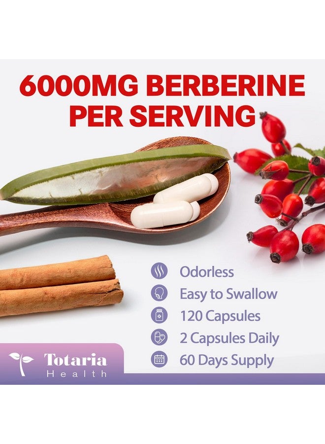 Totaria مكمل توتاريا بيربرين مع قرفة سيلون، حليب الشوك - بيربرين بلس للمناعة، الشكل الأفضل، صحة الكبد والأمعاء، مكملات نباتية للرجال والنساء - 120 كبسولة - Image 3