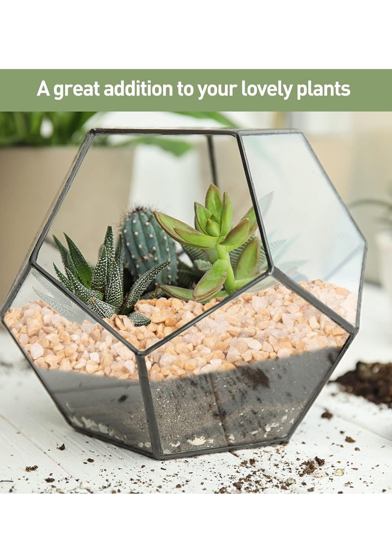 vsell24 2 كجم من الأحجار الذهبية الطبيعية الفائقة لأحواض السمك الصغيرة لتزيين المنزل وحشوات المزهريات 4-8 مم - Image 3