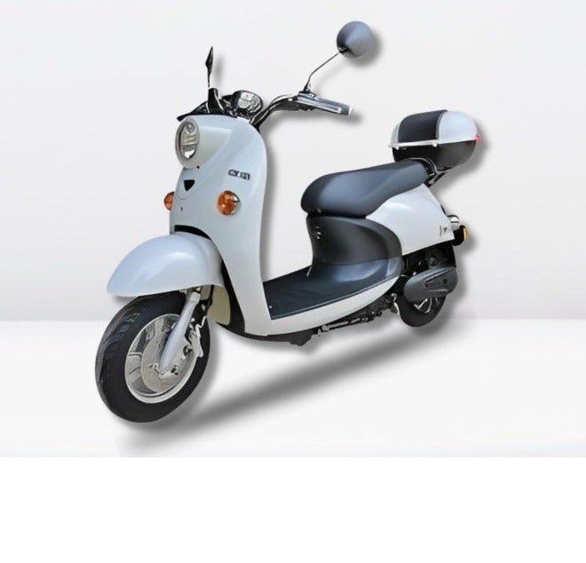 GW01 Electric Scooter – 1200W Brushless Motor, 48V 20Ah Battery, 80km Range, 55km/h Speed, 14” Tubeless Tyres