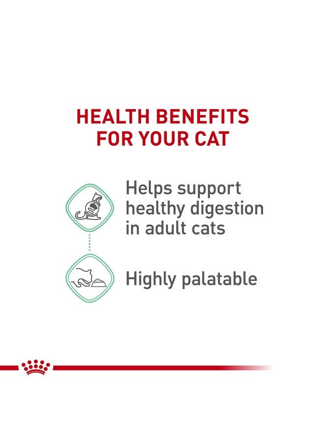 Royal Canin Feline Digestive Care Thin Slices in Gravy Wet Cat Food, 5.1 oz can (24-Count) - Image 3