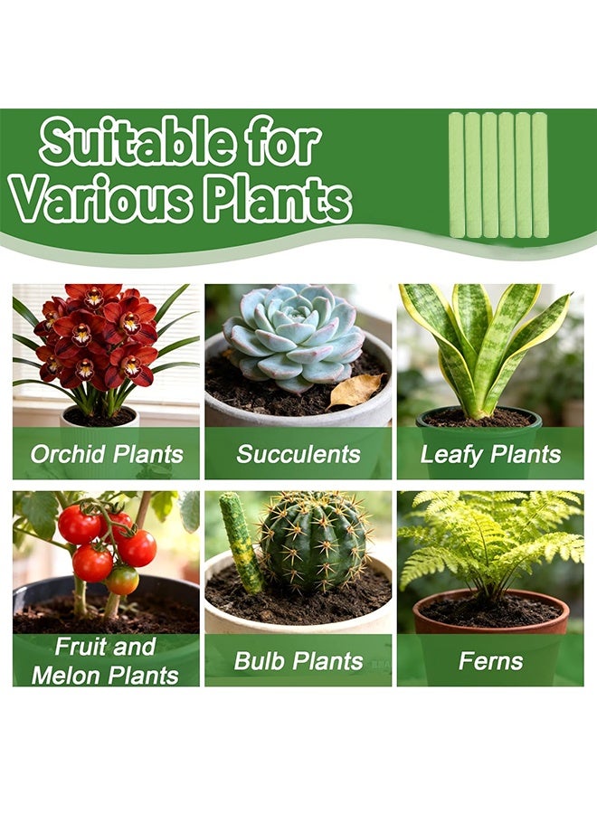 MOONSPRY 18 Pieces Plant Grows Fertilizer Sticks, Household Flower Fertilizer, Plant Growth Food Spikes For Indoor Outdoor, Growth Plant Food Sticks Continuous Feeding For all Flowering And Foliage Houseplants - Image 4