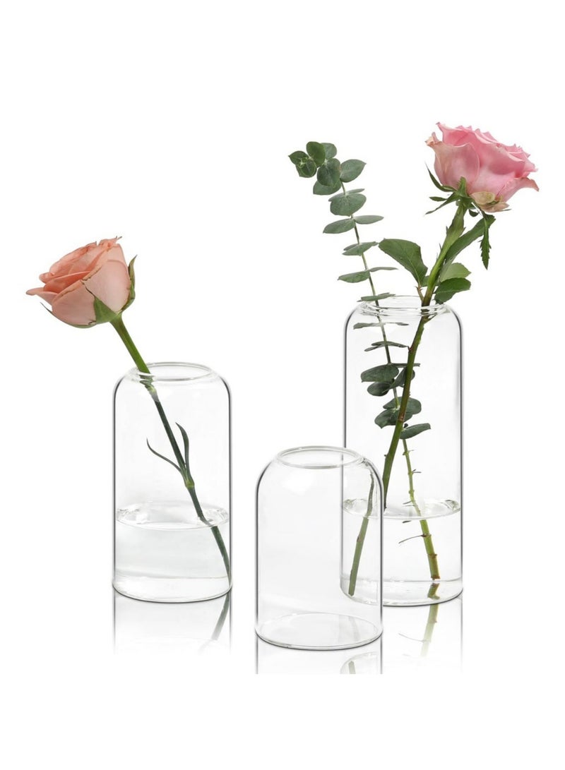 JiFENG Glass Vase Set for 3-Piece Narrow Neck Decoration Mini Glass Vase Set for Floral Arrangements Perfect for Weddings Birthdays ,Travel Souvenirs, Graduation - Image 1