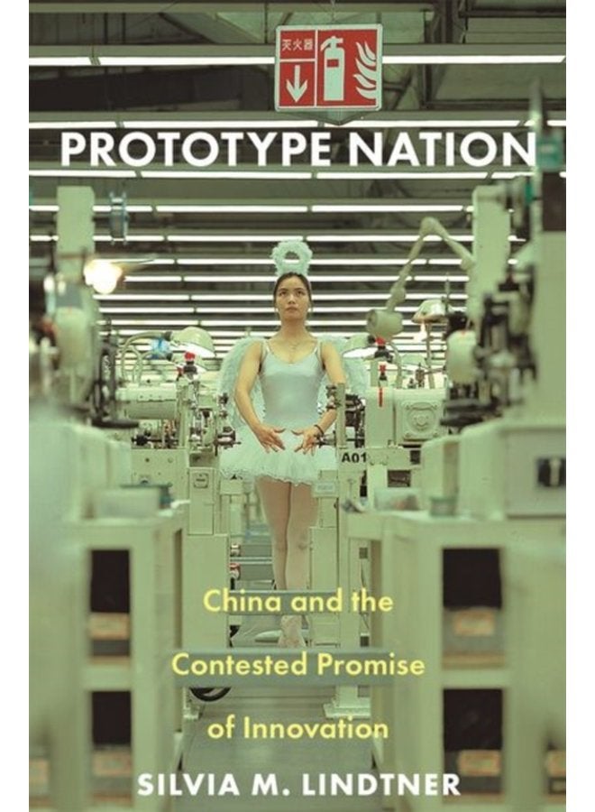 Prototype Nation China and the Contested Promise of Innovation - Paperback