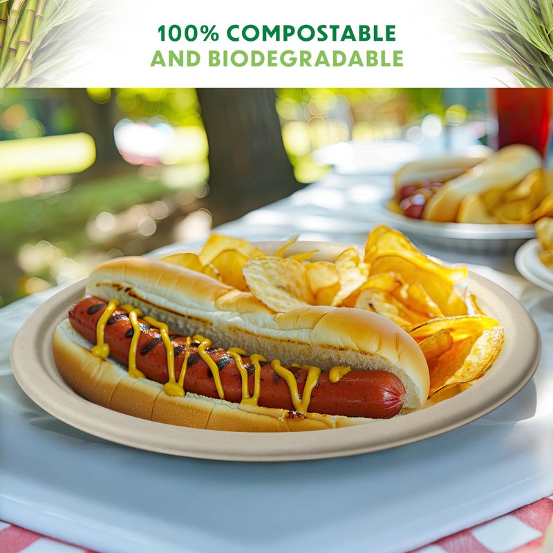 Alitte Compostable Plates, Disposable Heavy Duty Paper Plates - [125 Count] 9 Inch, Unbleached Biodegradable, Made of Natural Sugarcane Bagasse, Brown, For Everyday Use Meals, Dinner, Party, Eco-Friendly - Image 5