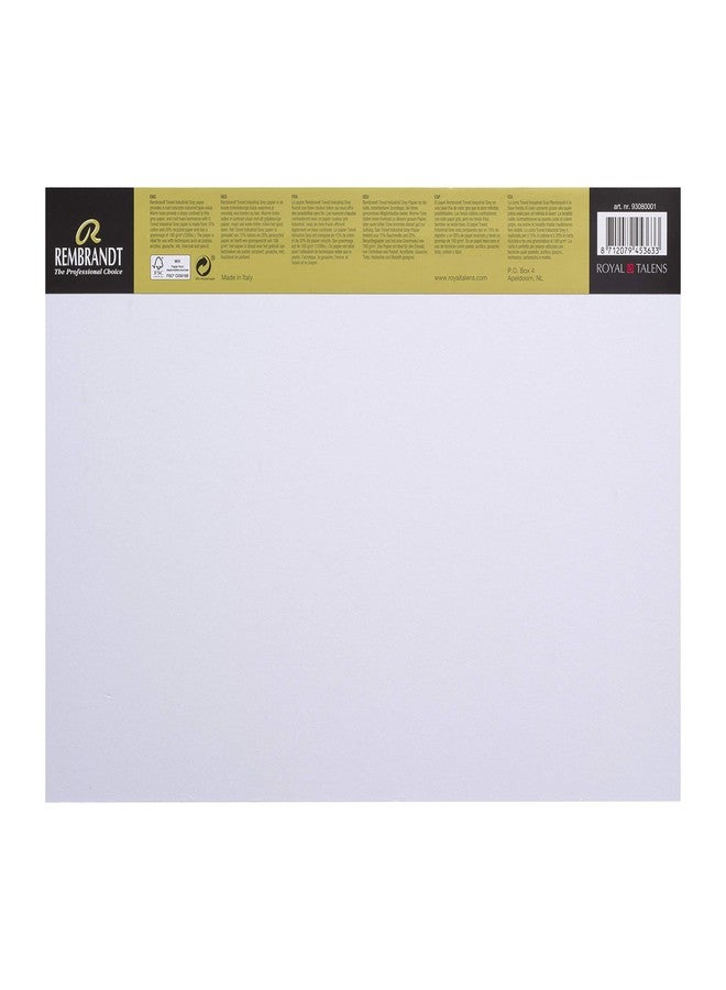 Van Gogh Royal TALENS Rembrandt Toned Paper PAD, 180GSM, 50 Sheets (Industrial Grey, A3) - Image 2