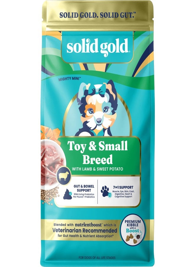 Solid Gold Toy & Small Breed Dry Dog Food Small Bites - Real Lamb, Grain Free, Gluten Free, High Fiber Healthy Kibble w/Probiotics for Gut Health & Digestion Support- All Ages NutrientBoost -3.75LB - Image 1