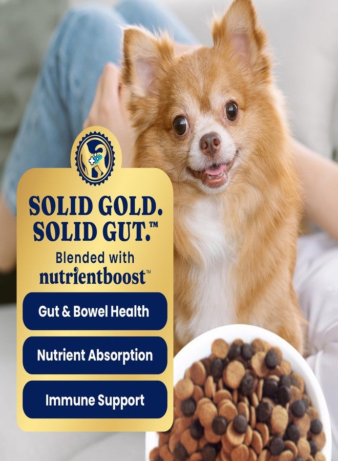 Solid Gold Toy & Small Breed Dry Dog Food Small Bites - Real Lamb, Grain Free, Gluten Free, High Fiber Healthy Kibble w/Probiotics for Gut Health & Digestion Support- All Ages NutrientBoost -3.75LB - Image 4