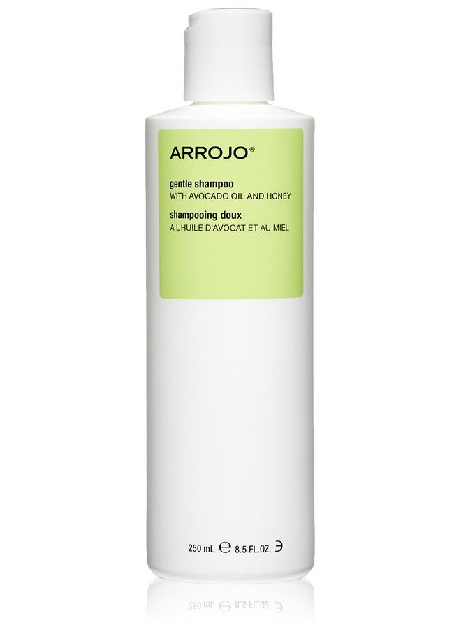 ARROJO Gentle Sulfate Free Shampoo Gentle Shampoo To Repair & Nourish Hair Shampoo W/Vitamin B5 Avocado Oil & Honey Lightly Scented Cleansing Shampoo Paraben Free Shampoo  - Image 1